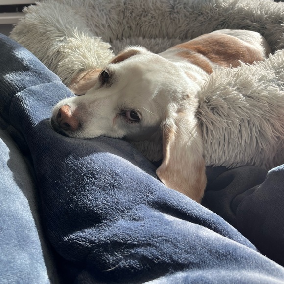 Meet your Posher, Angi 🍸 - Picture 4 of 12